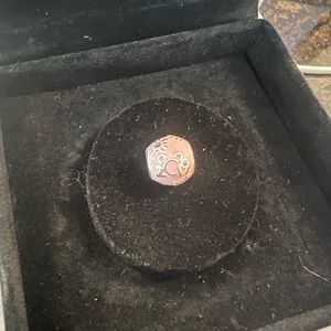 2019 Pandora Charm Disney